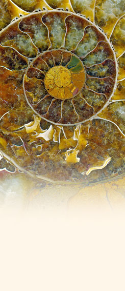spirale neu
